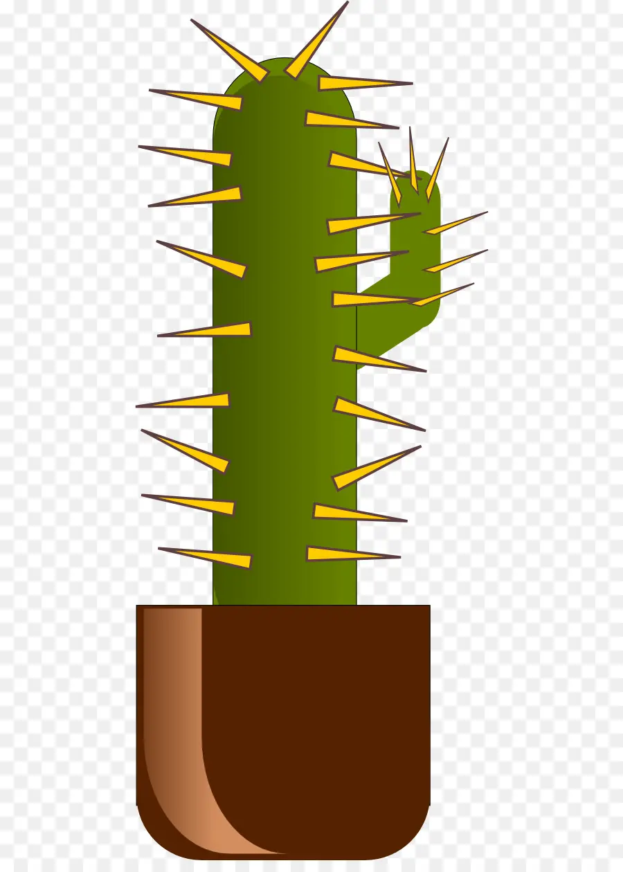 Cactaceae，Dikenler Dikenler Ve Dikenler PNG