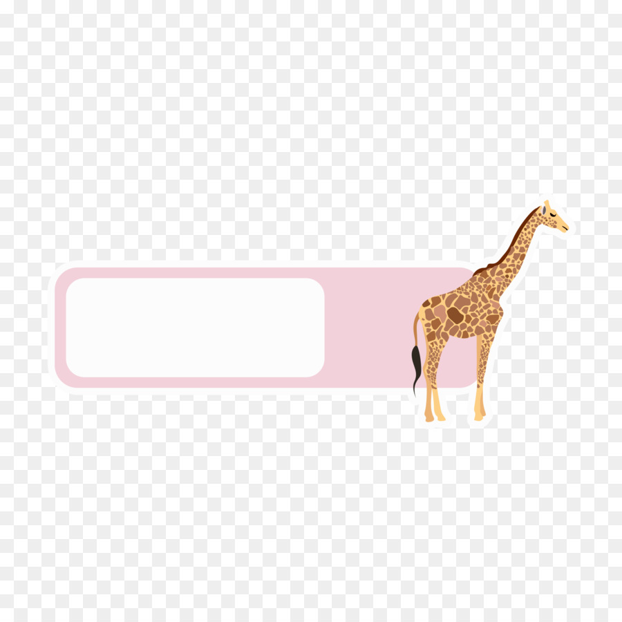 Zürafa，Hayvan PNG