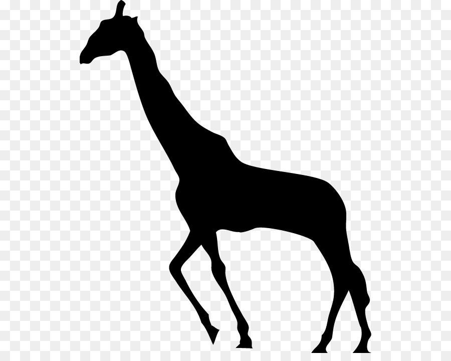 Zürafa，Siluet PNG