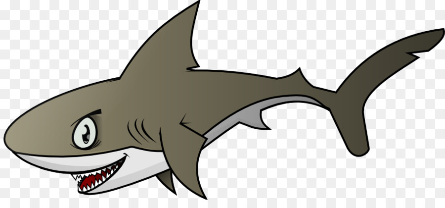 Köpekbalığı，Ücretsiz Içerik PNG