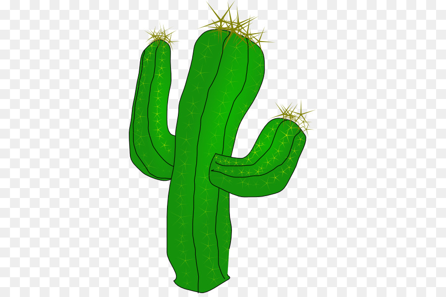 Cactaceae，Saguaro PNG