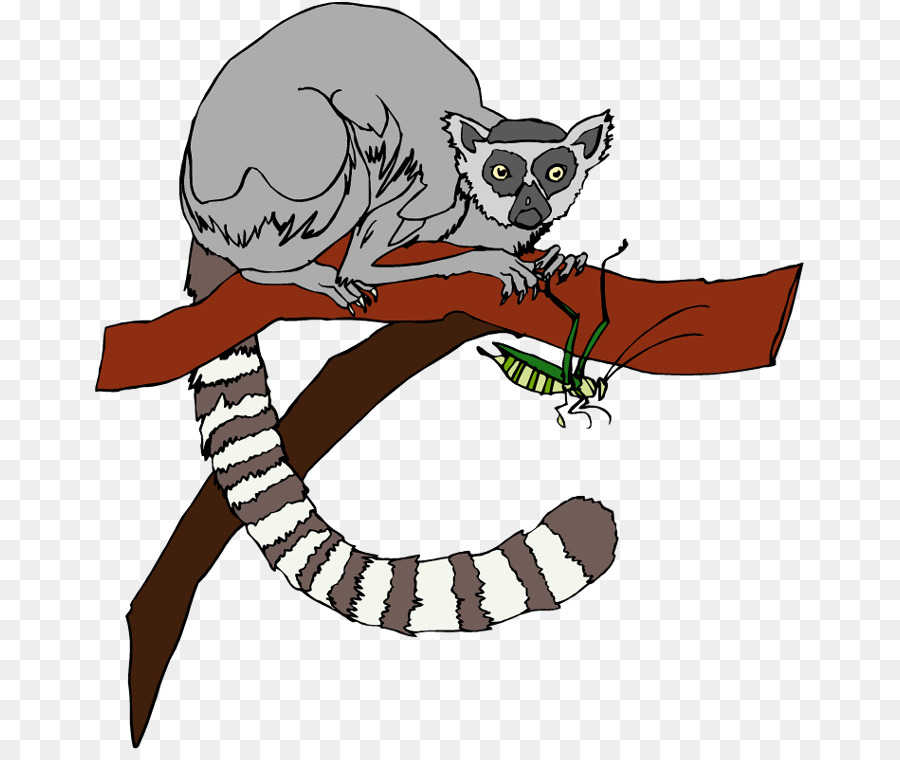 Lemur，Dal PNG