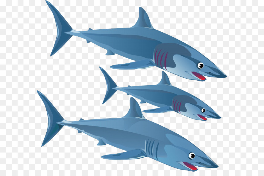 Köpekbalığı，Mavi Köpekbalığı PNG