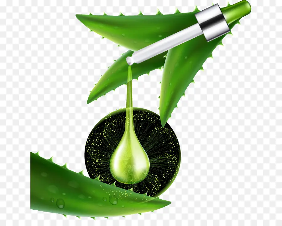 Aloe Vera，Damlalık PNG