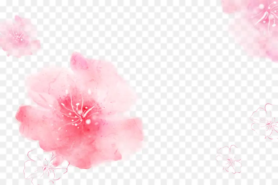 Pembe，Kiraz çiçeği PNG