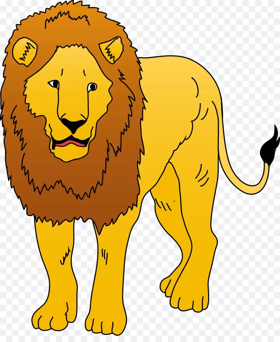 Aslan，Taslak PNG