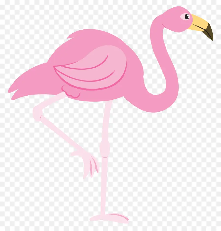 Flamingo，Kuş PNG