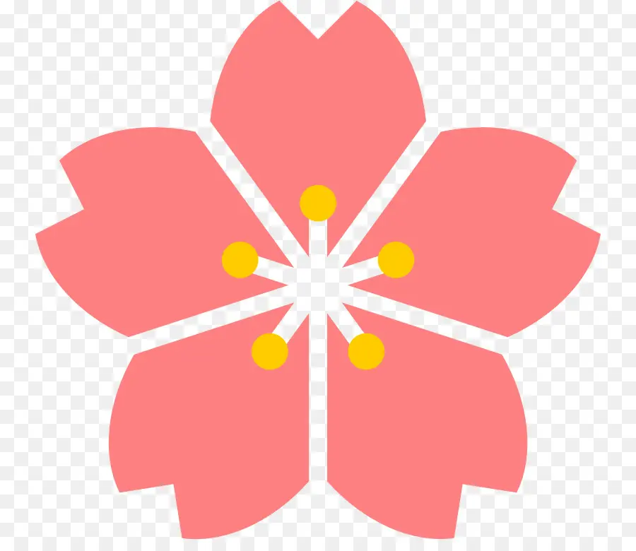 Kiraz çiçeği，çiçeği PNG