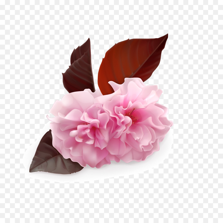 çiçek，Kiraz çiçeği PNG