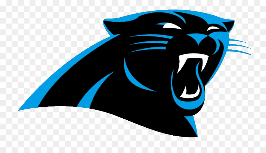 Carolina Panthers，Super Bowl 50 PNG