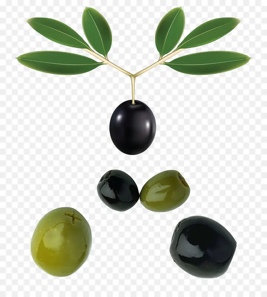 Zeytin，Meyve PNG