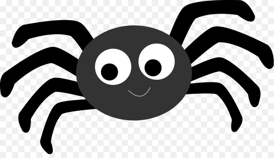 örümcek，Ücretsiz Içerik PNG