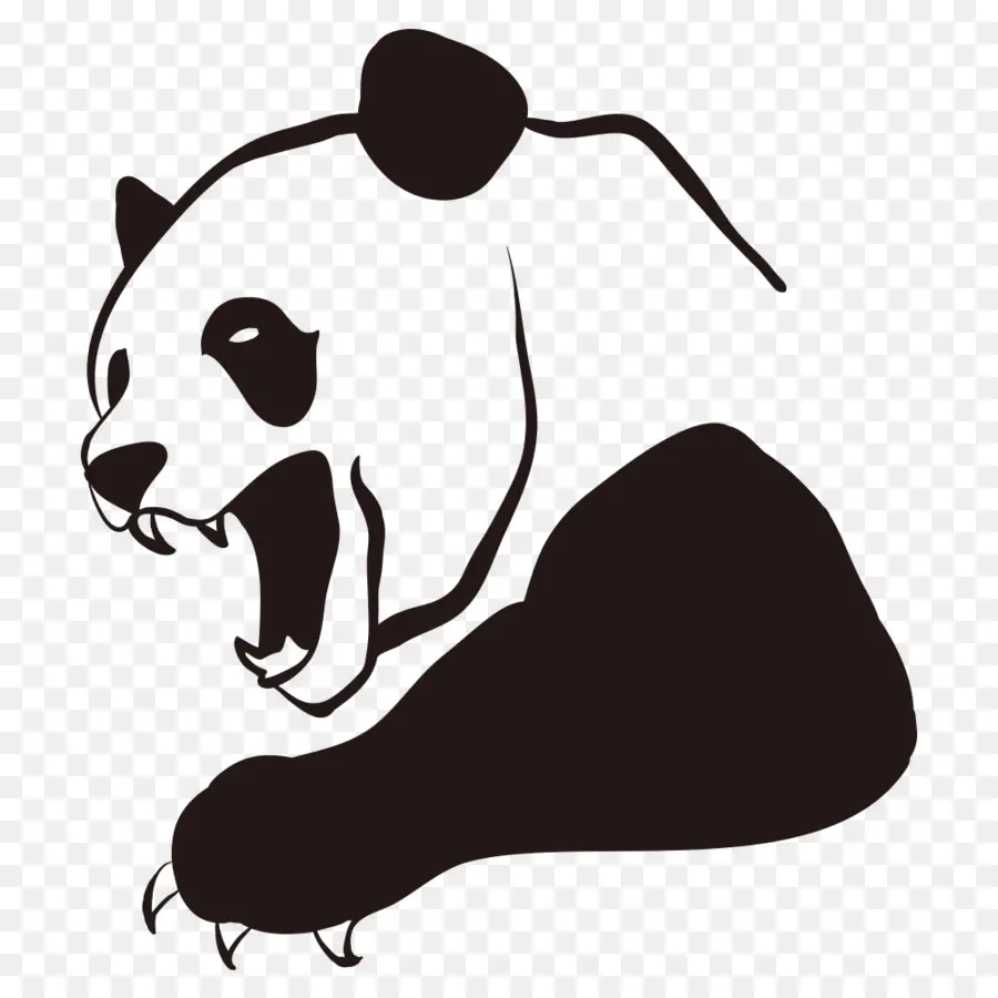 Panda，Ayı PNG