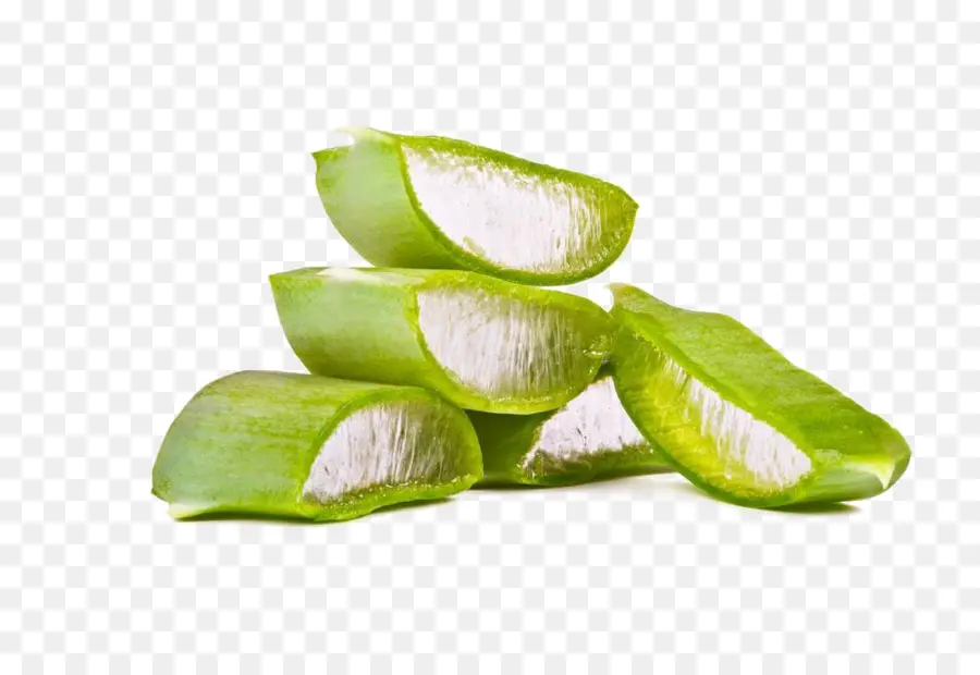 Aloe Vera，Aloe Arborescens PNG