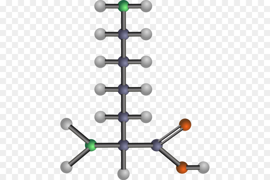 Aminoasit，Lösin PNG