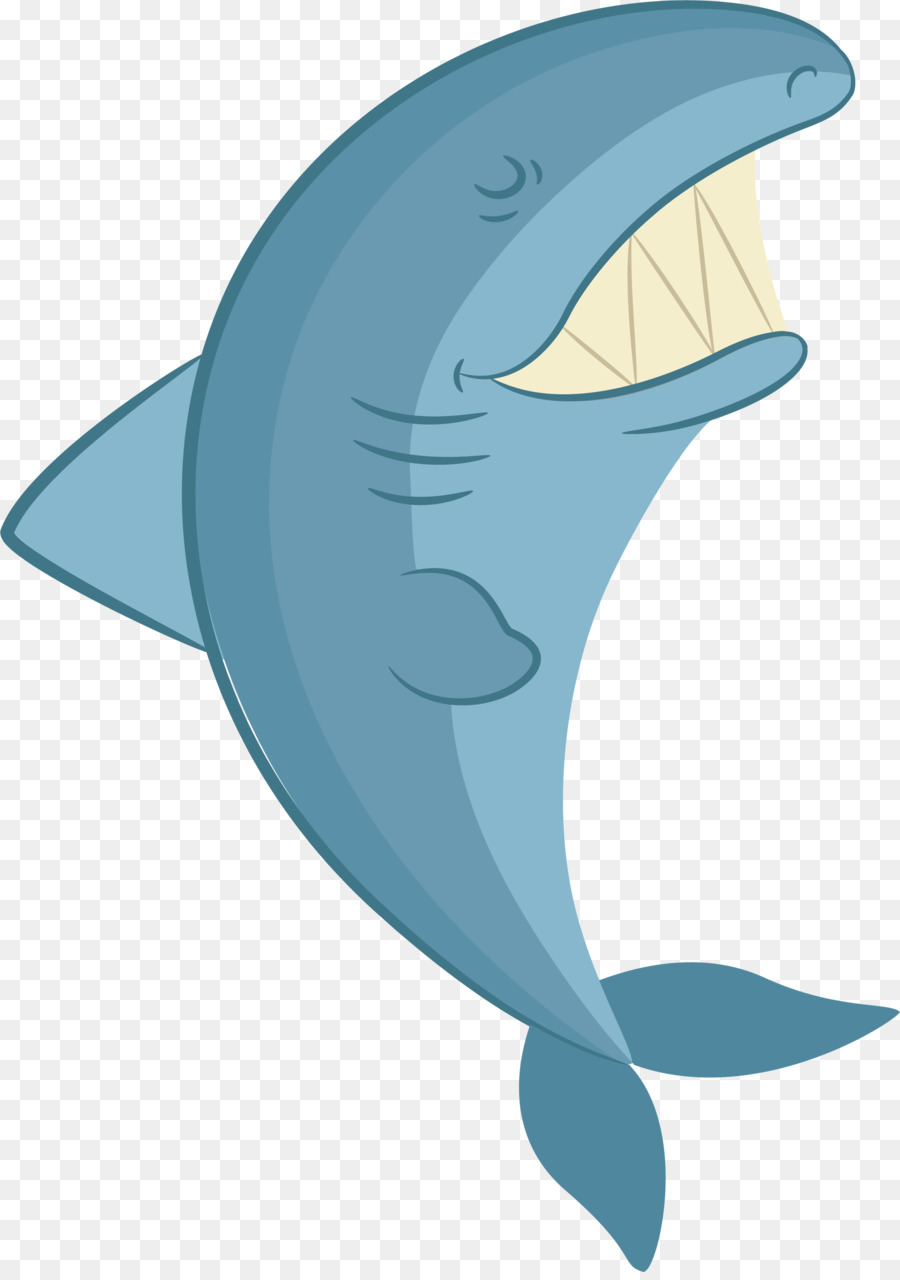 Köpekbalığı，Ortak şişe Burunlu Yunus PNG