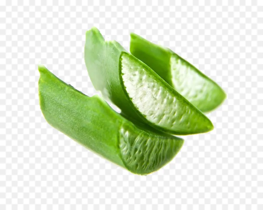 Aloe Vera，Yeşil PNG