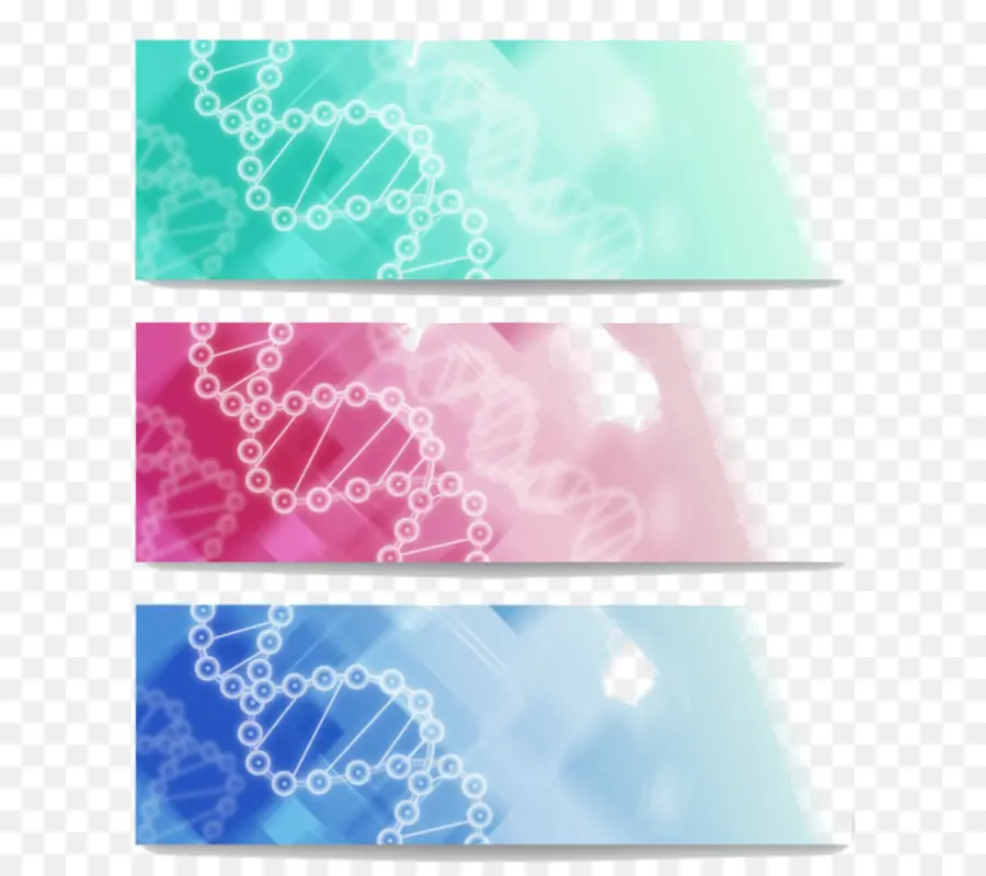 Dna Afişleri，Dna PNG