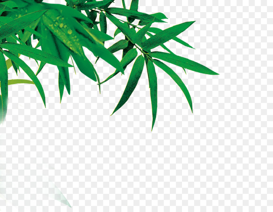 Bambu，Mürekkep Fırçası PNG