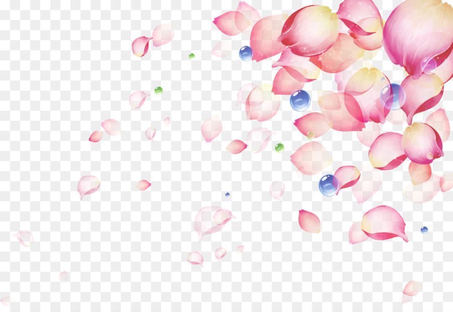 Pembe Petal Renk Sahua Guzel Petal Damla Seffaf Png Goruntusu