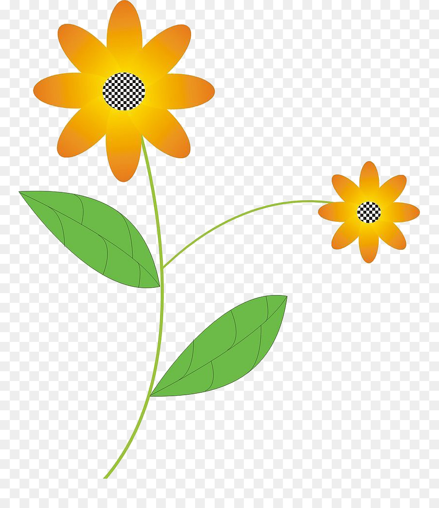 çiçek，Flora PNG