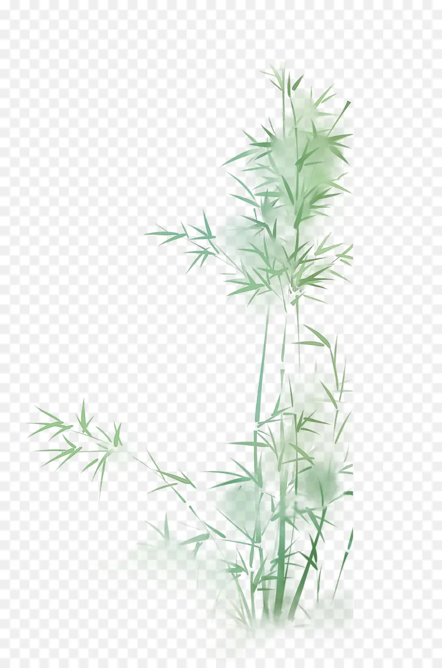 Yeşil，Bambu PNG