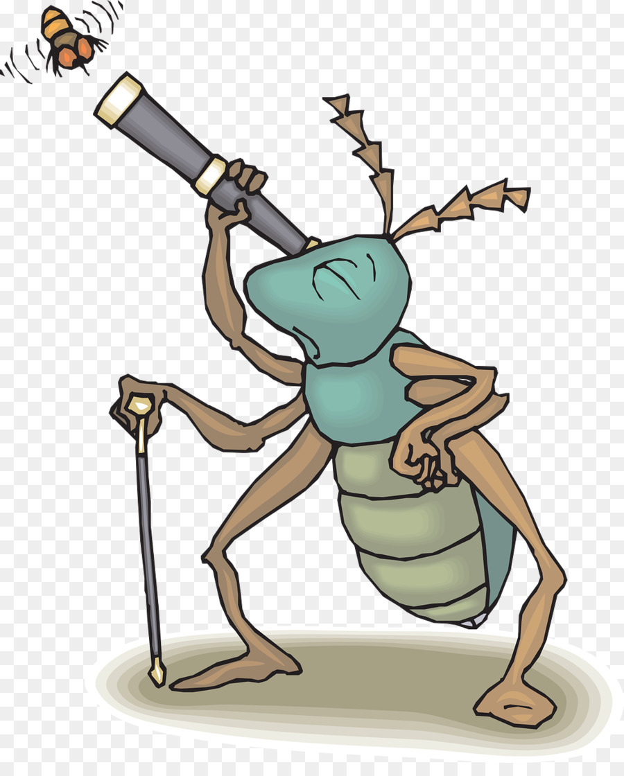 Böcek，Bugwatching PNG