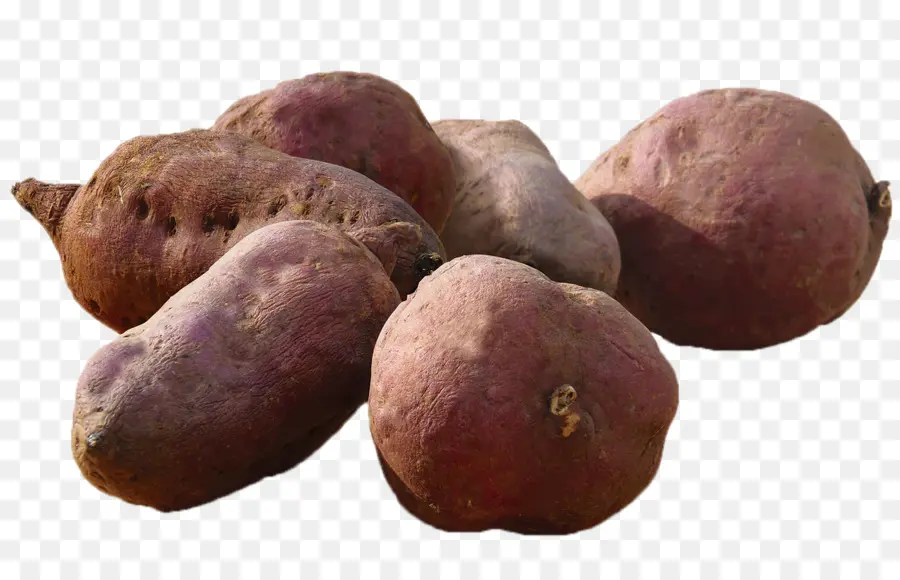 Tatlı Patates，Sebze PNG