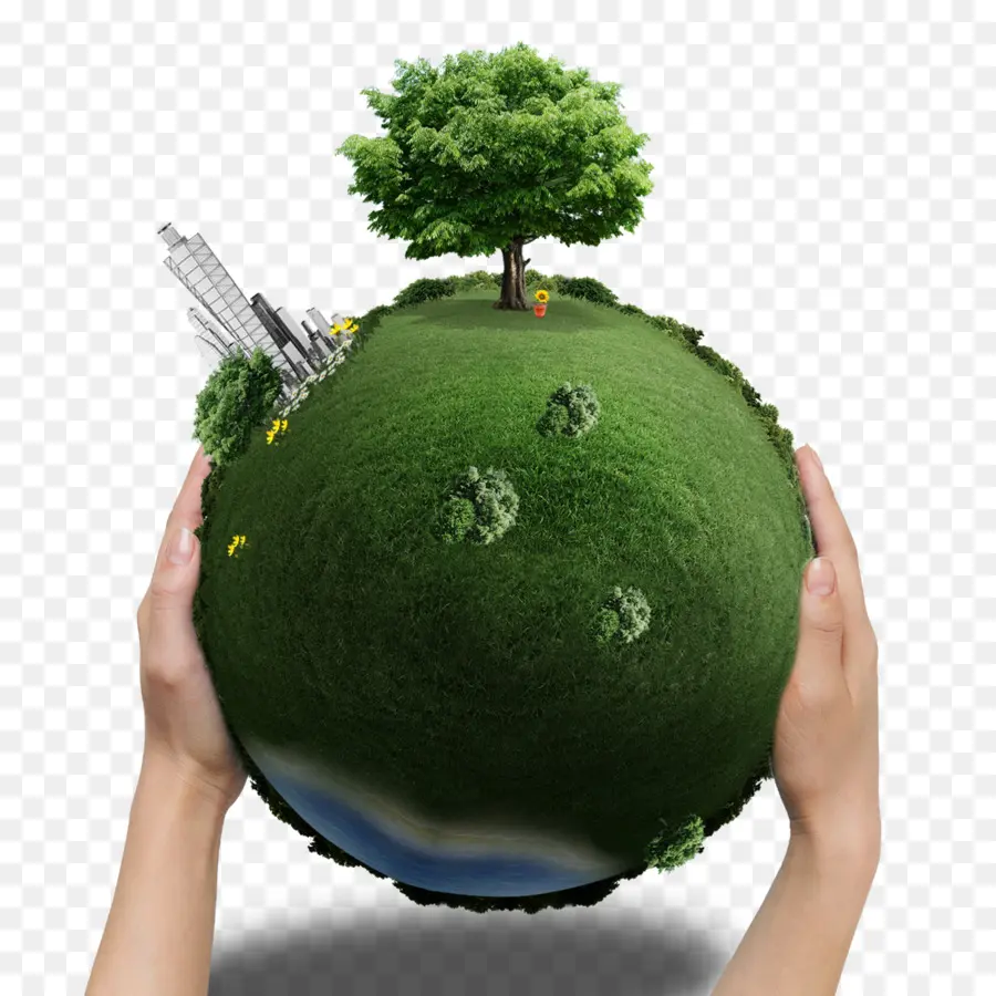 Dünya，Yeşillendirme PNG