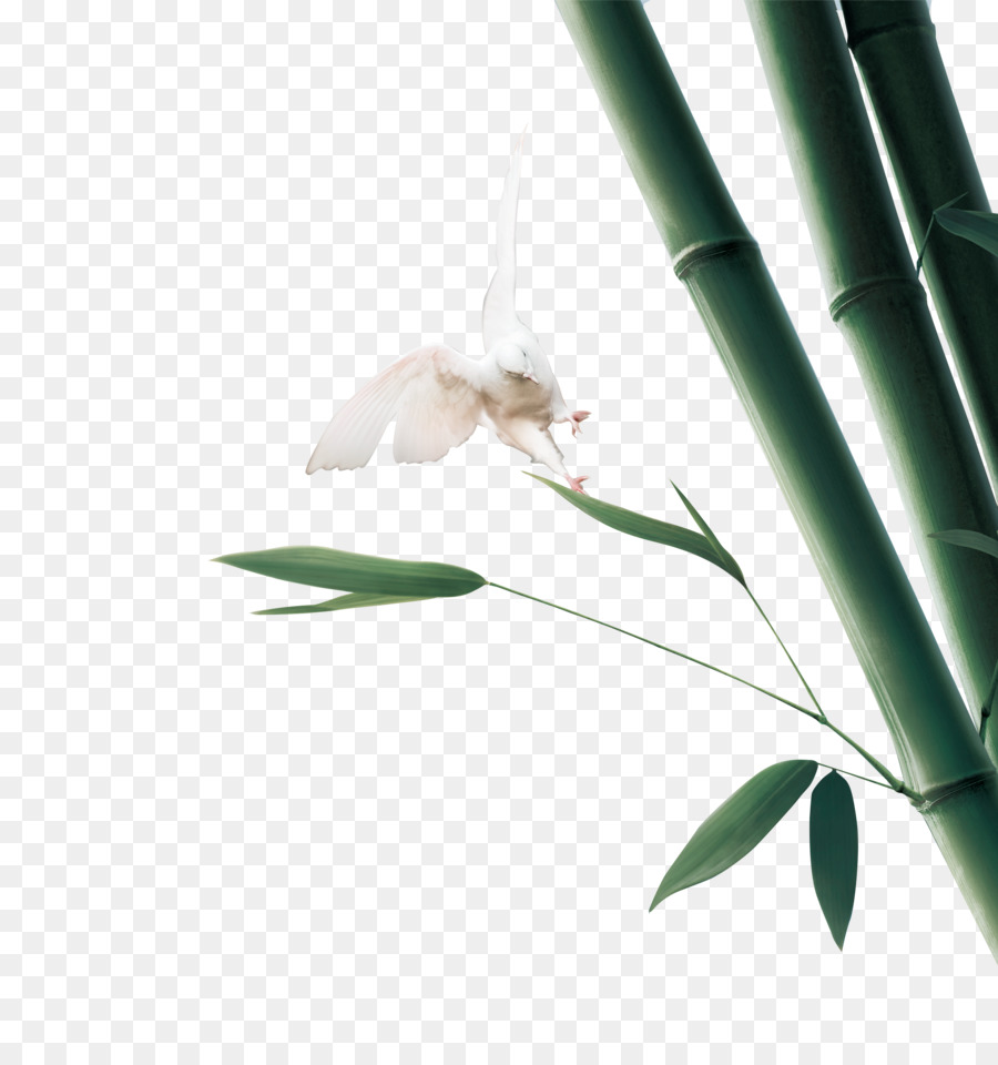 Bambu，Yeşil PNG