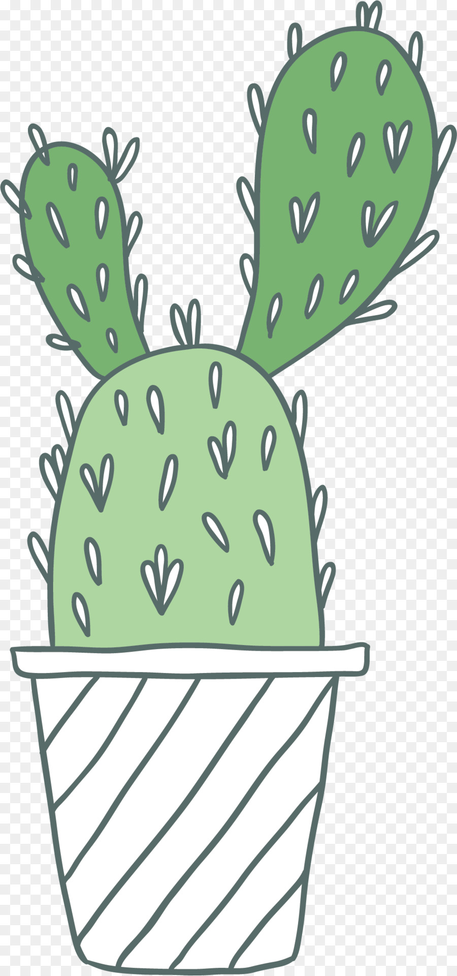 Cactaceae，Bitki PNG