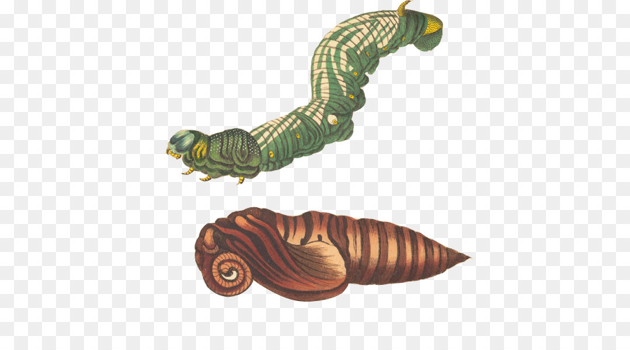 Caterpillar ınc，Tırtıl PNG