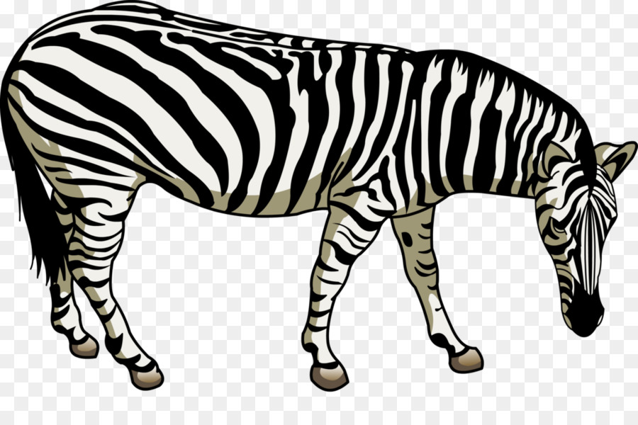 Quagga，At PNG