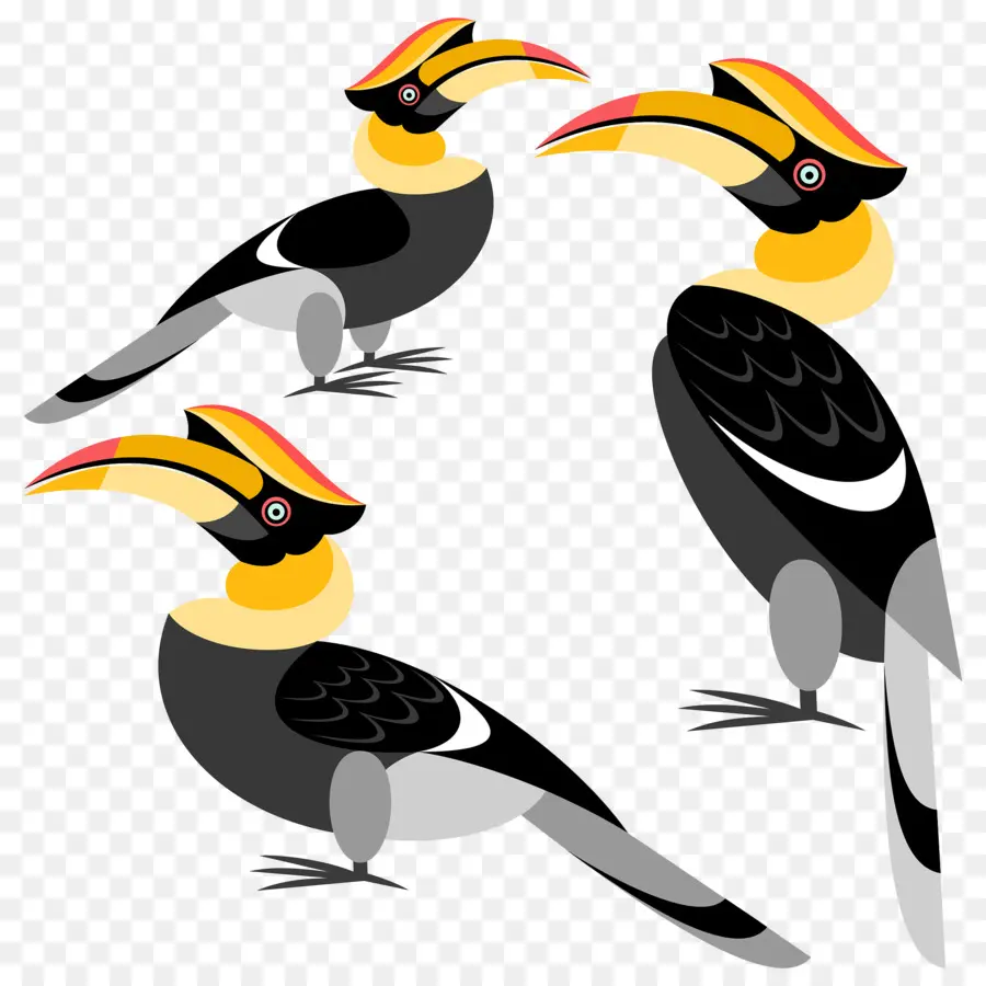 Kuş，Boynuzgaga PNG