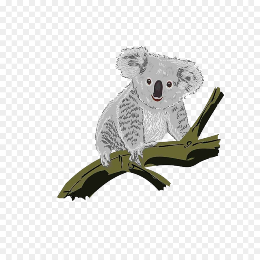 Koala，Ağaç PNG