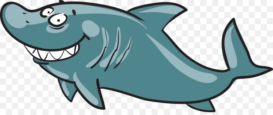 Köpekbalığı，Gülen Köpekbalığı PNG