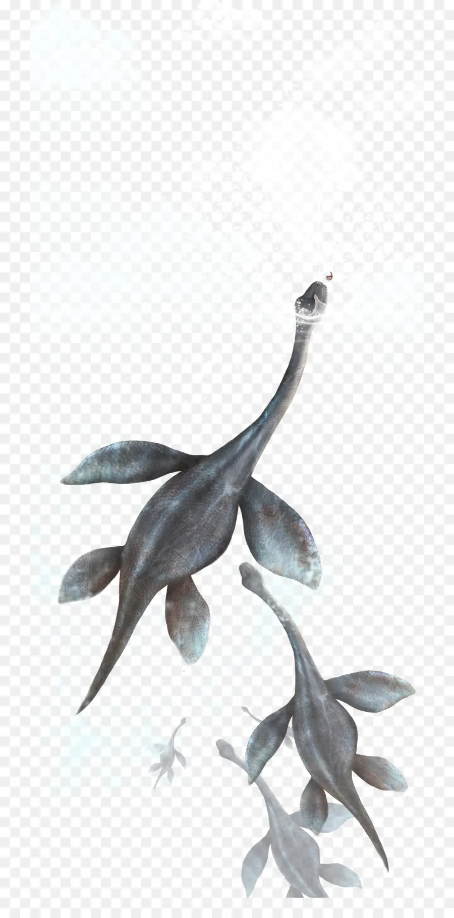 Plesiosaur，Dinozor PNG