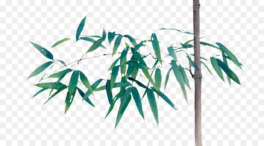 Bambu，Yeşil PNG