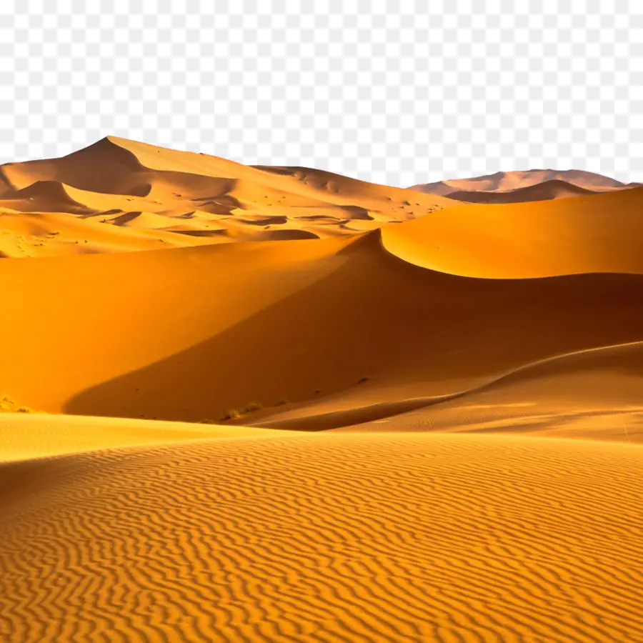 Sahara，Arap çöllerinin PNG