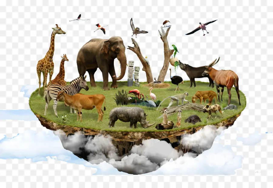 Biyolojik çeşitlilik，Ekoloji PNG