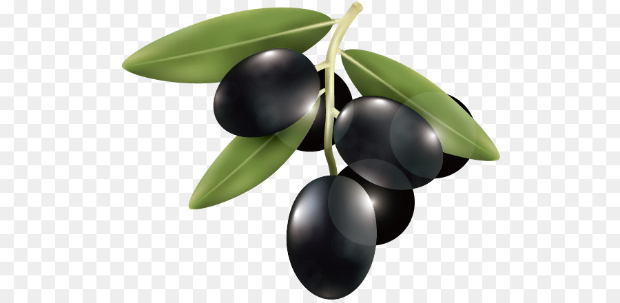 Zeytin，Dal PNG