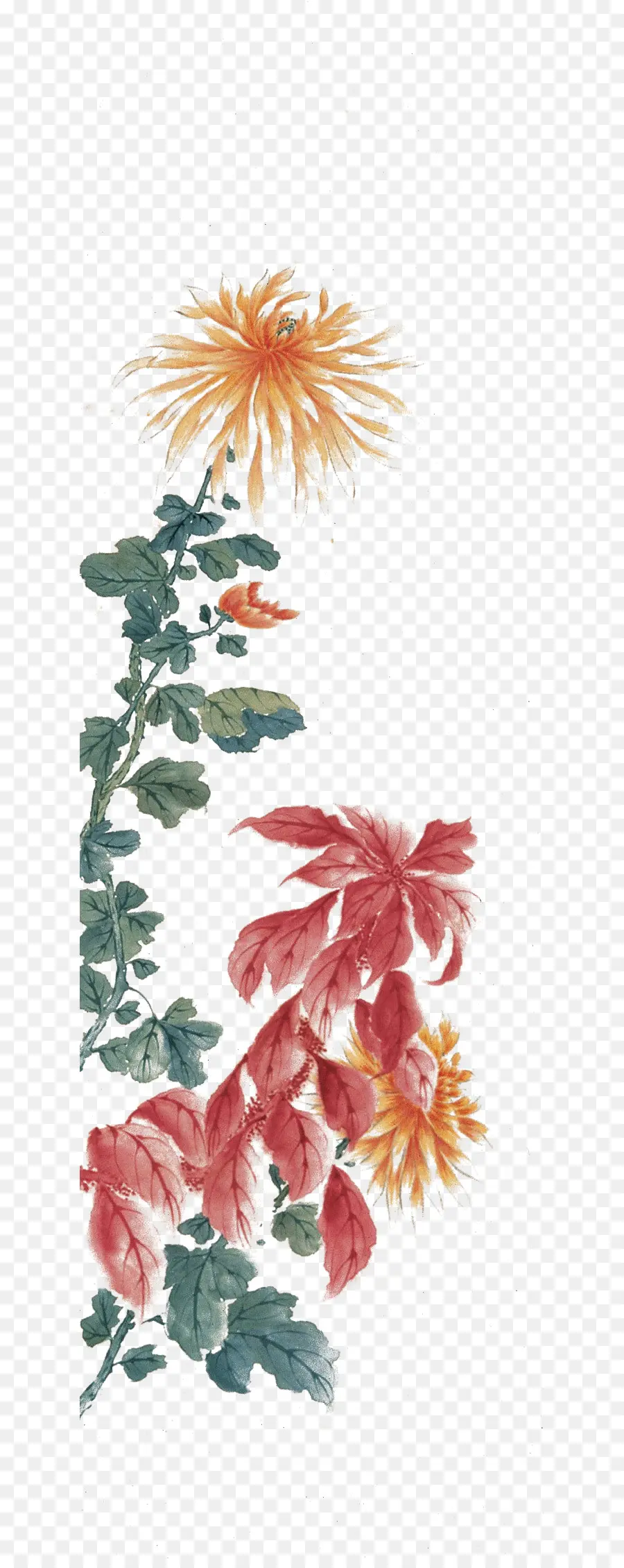 Suluboya Resim，çiçek Tasarımı PNG