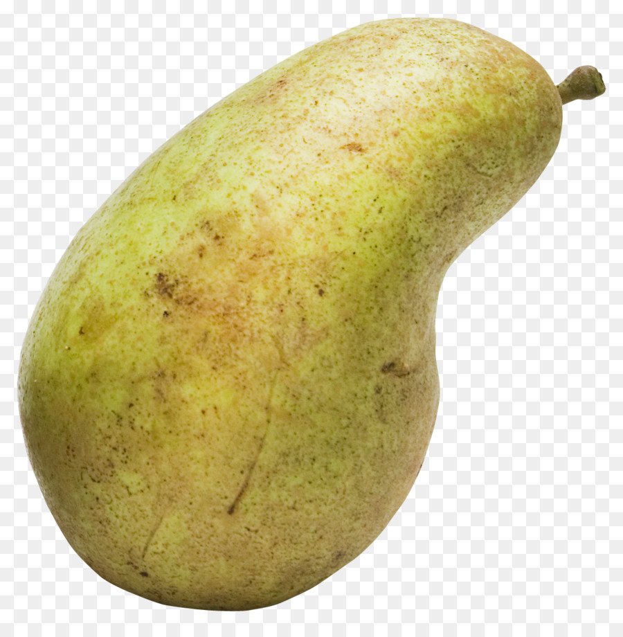 Pyrus Xd7 Bretschneideri，Pyrus Nivalis PNG