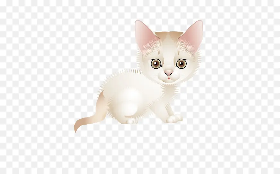 Sevimli Kedi Yavrusu，Kedi PNG