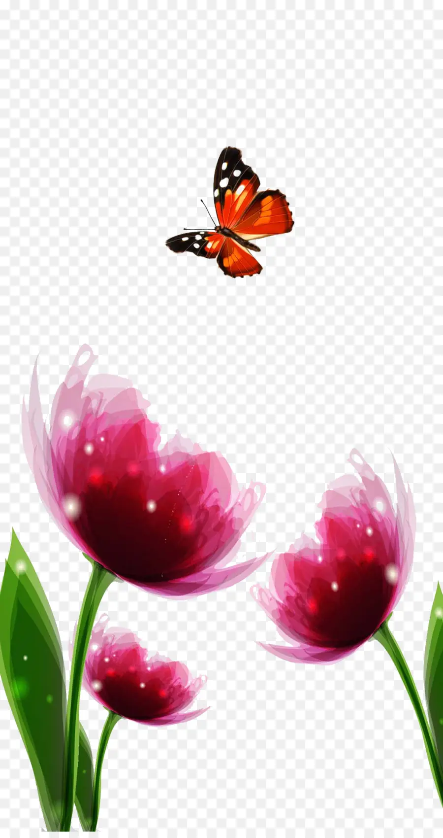 Kelebek，Nymphalidae PNG