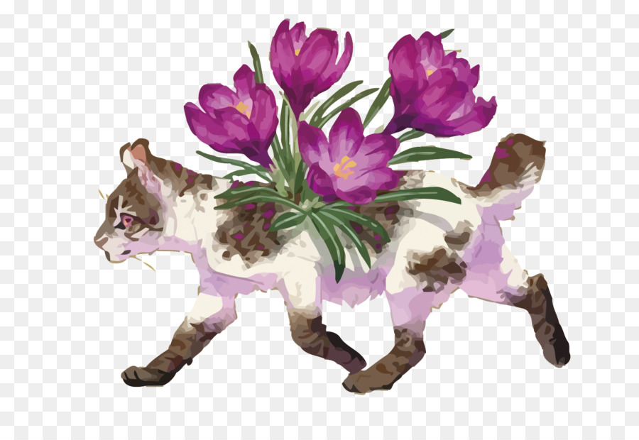 Çiçekli Kedi，çiçekler PNG