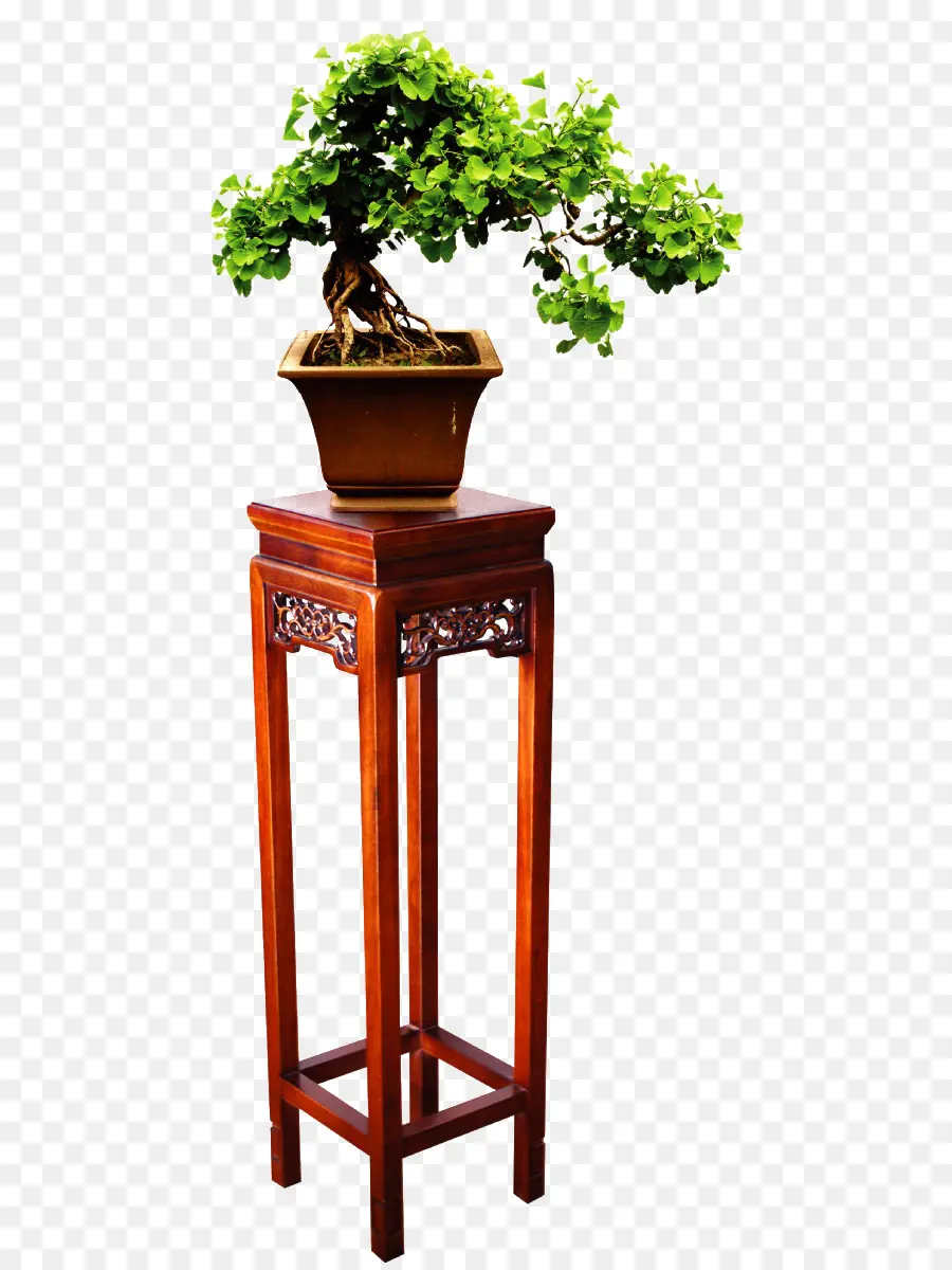 Standda Bonsai，Minyatür PNG