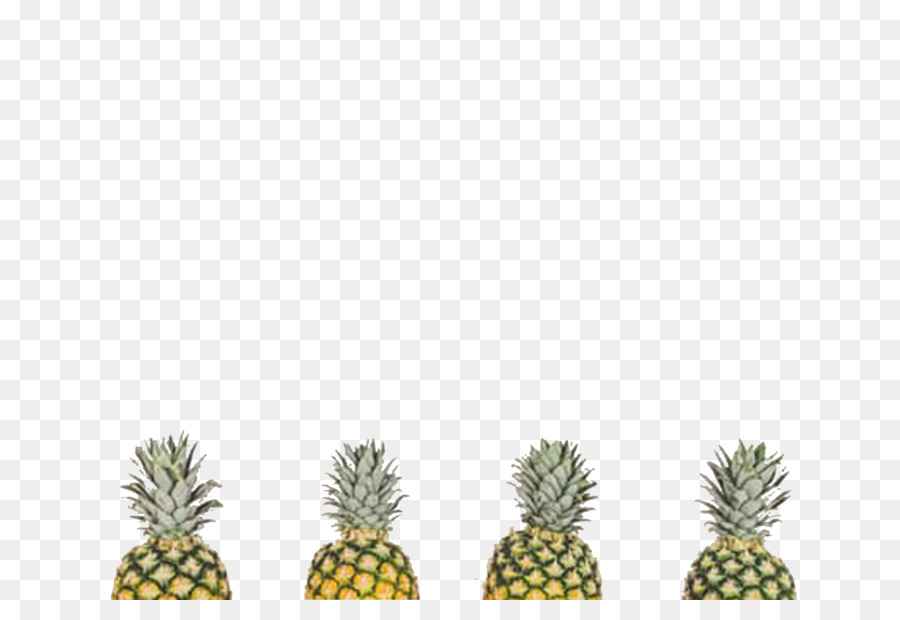 Ananas，Tropikal PNG