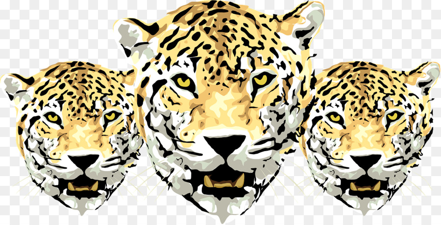 Jaguar，Amur Leoparı PNG