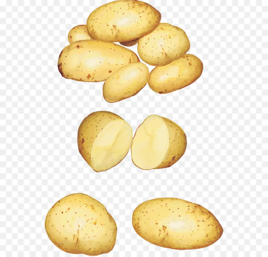 Patates，Sebze PNG